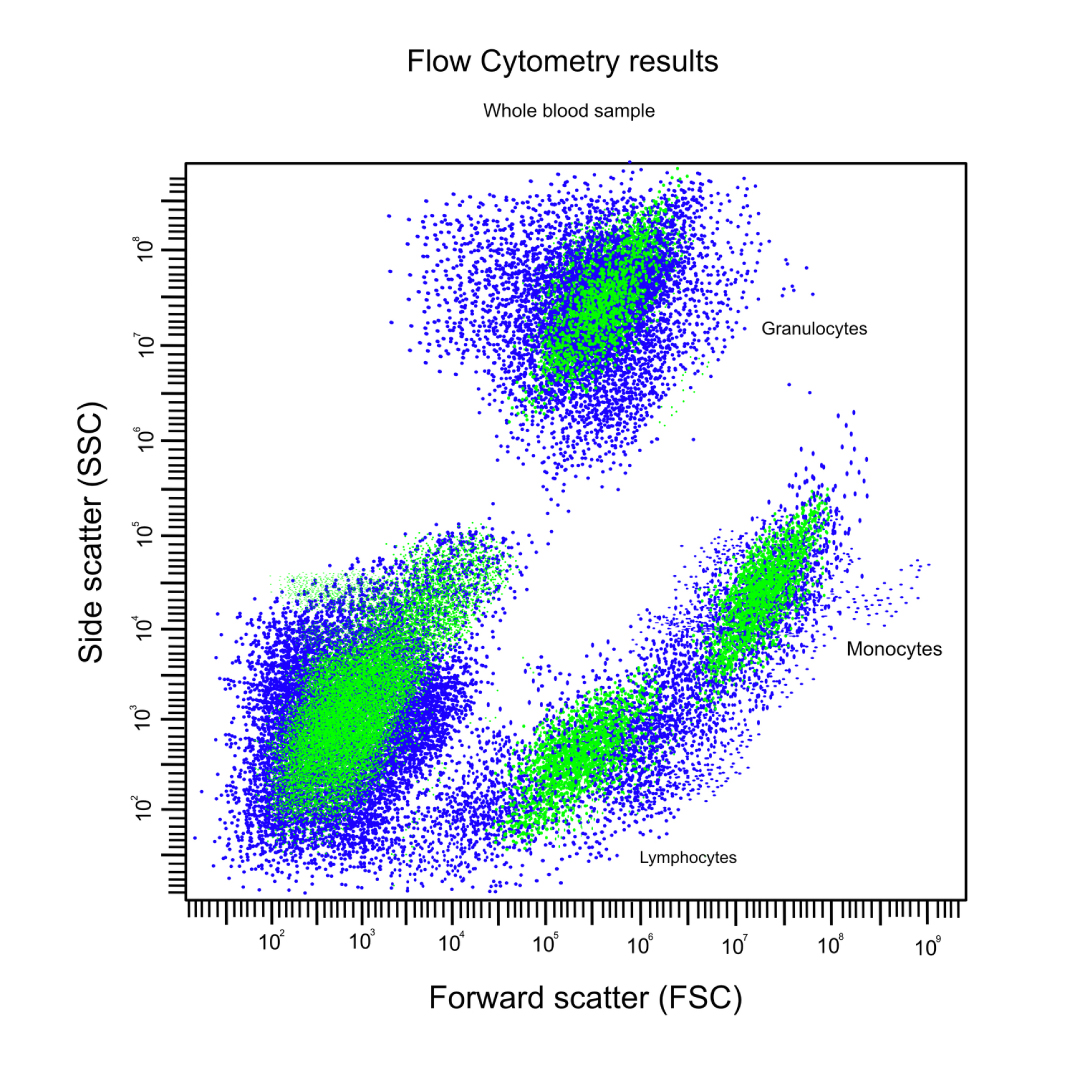 Cell analysis